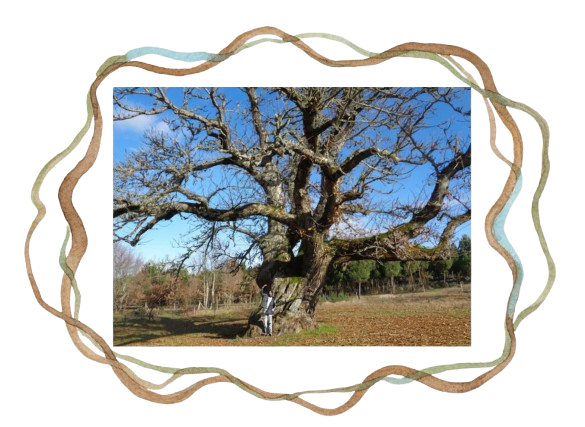 Illustration de la vision d'ACDL